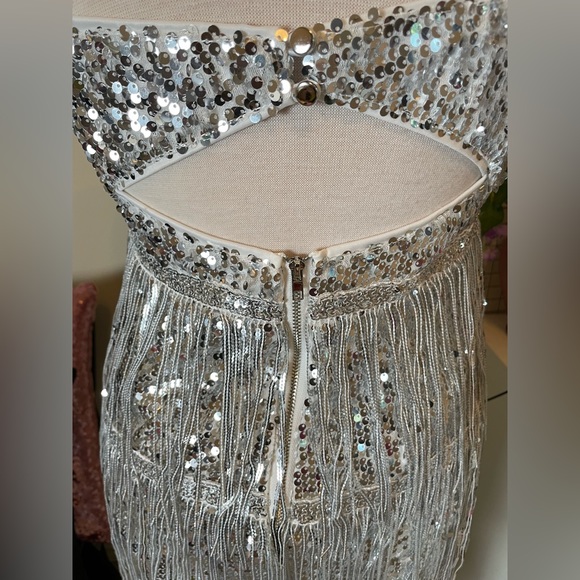 Silver sequin fringe dress! - Picture 11 of 17